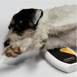 kollage_therapie - PHYSIOMED